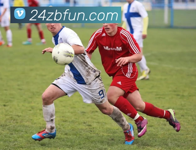 24直播官网发展历程